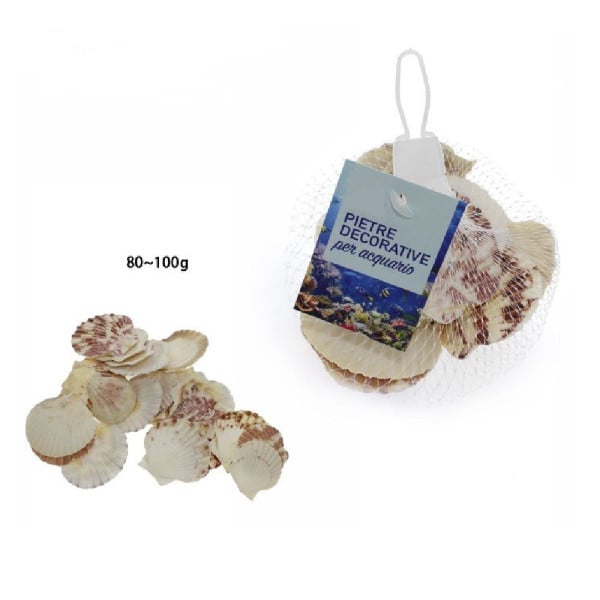 SACCHETTO 80-100GR CONCHIGLIE MARE DECORAZIONE ORNAMENTO PER ACQUARIO