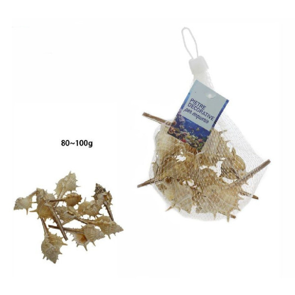 SACCHETTO CONCHIGLIE MARE ARREDO DECORAZIONE PER ACQUARIO DA 80-100GR