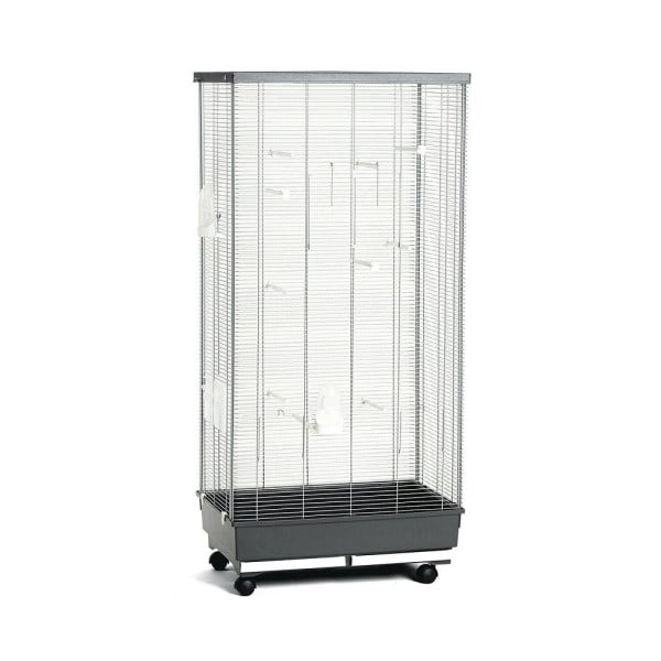 VOLIERA GABBIA SENZA TETTO PER VOLATILI UCCELLI CANARINI 66X45X140CM