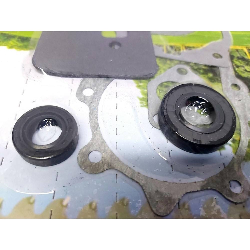 Kit Guarnizioni E Cuscinetti Per Decespugliatore TL43 E TL52 &ndash; Prodotto In Italia