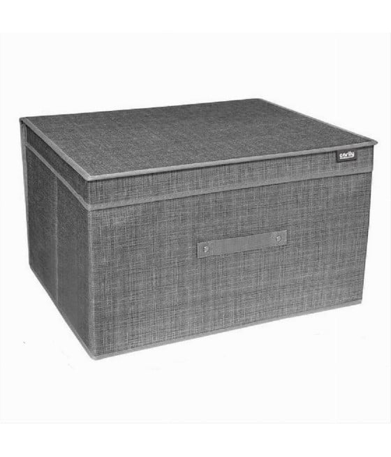SCATOLA SALVASPAZIO PORTATUTTO CONTENITORE ORGANIZER 40X50X60CM 69999