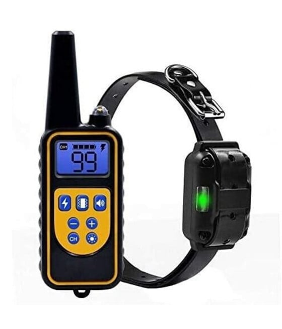 COLLARE DA ADDESTRAMENTO PER CANI TELECOMANDO RICARICABILE IPX7