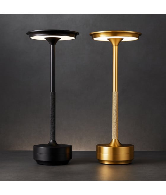 LAMPADA DA TAVOLO MODERNA 3W LUME RICARICABILE TOUCH CCT D38-3C