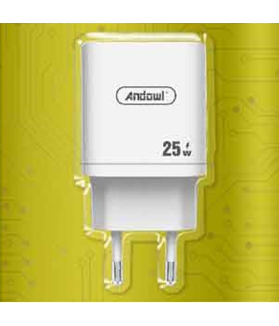 CARICABATTERIE CARICATORE DA MURO PORTA TYPE-C 25W G40 RICARICA RAPIDA