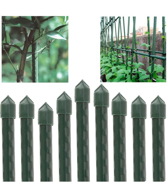 25 PALI TUTORI CANNA PER SOSTEGNO PIANTE RAMPICANTI H90CM Ø11MM GRN18