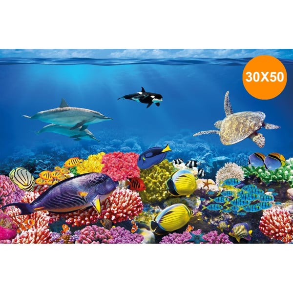 CARTA DECORATIVA PER ACQUARIO 30 X 50 CM PANNELLO DECORATIVO ACQUARI SFONDO
