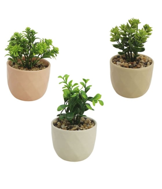 SET 3PZ VASETTO CERAMICA COLORATO CON PIANTINA ARTIFICIALE 8CM 164230