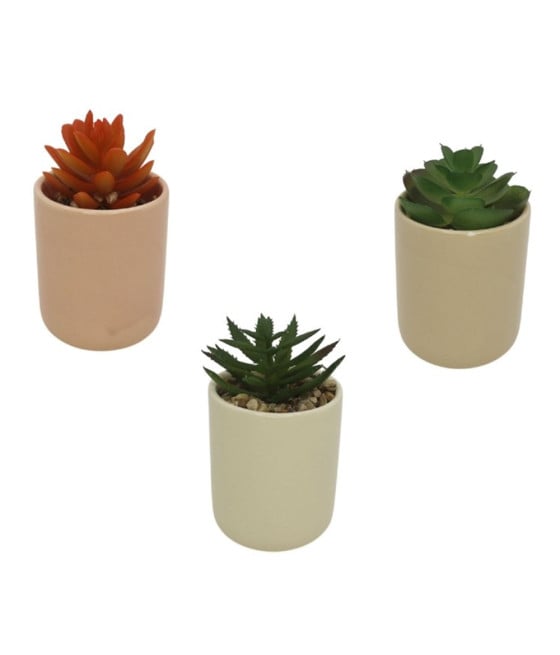 3PZ VASETTO CERAMICA COLORATO CON PIANTINA GRASSA ARTIFICIALE 8CM 164292