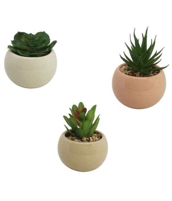 3PZ VASETTO CERAMICA COLORATO SFERICO CON PIANTINA ARTIFICIALE 8CM 164254