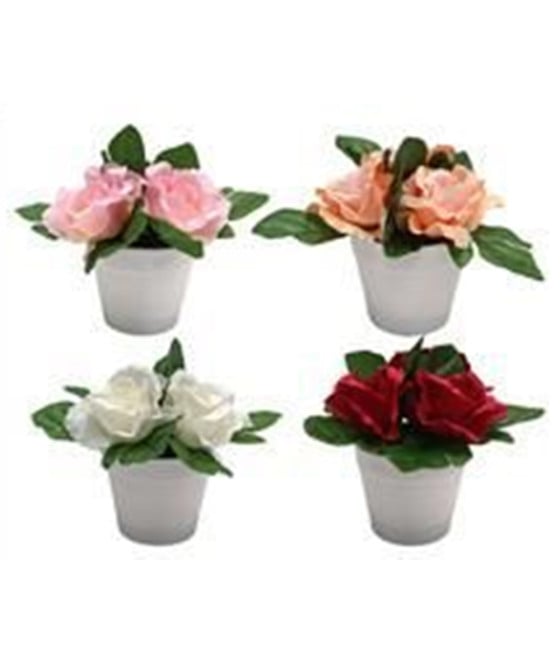 SET 12 PZ PIANTINA DI ROSE ARTIFICIALE CON VASO ROTONDO BIANCO 659298