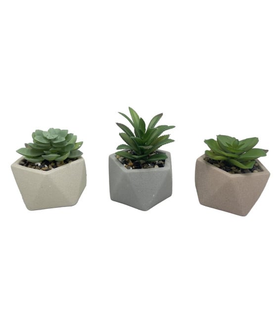SET 6PZ PIANTA VERDE GRASSA FINTA CON VASO CERAMICA GEOMETRICO 157947