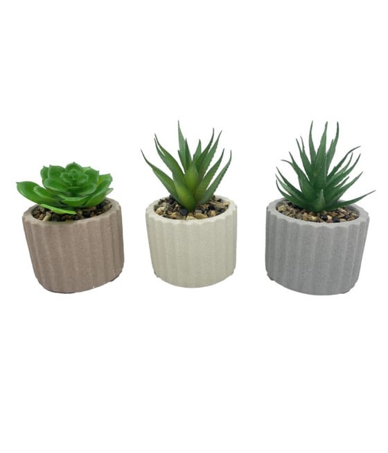 SET 6PZ PIANTA VERDE GRASSA FINTA CON VASO CERAMICA SCANALATO 157985