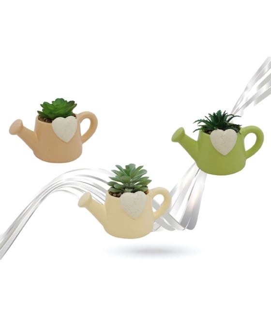 VASO FORMA INNAFFIATOIO CON CUORE CERAMICA CON PIANTINA GRASSA 9013144