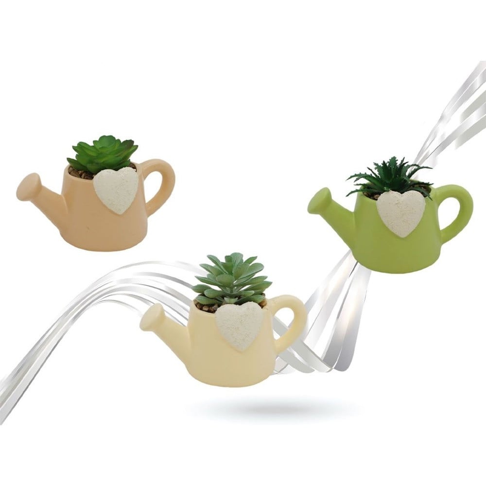 VASO FORMA INNAFFIATOIO CON CUORE CERAMICA CON PIANTINA GRASSA 9013144