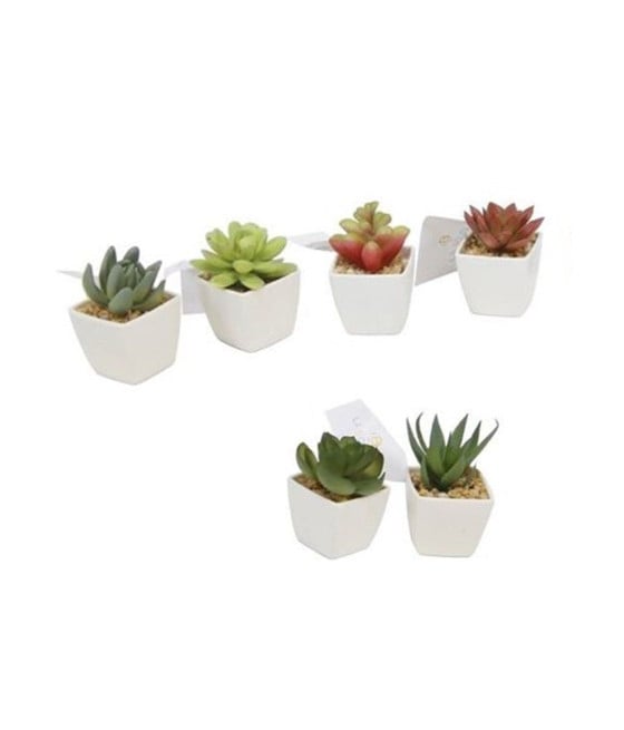 12PZ MINI PIANTA GRASSA ARTIFICIALE CON VASO PORCELLANA BIANCO 210921