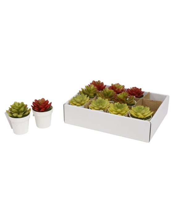 12PZ MINI PIANTA GRASSA ARTIFICIALE CON VASO PP ROTONDO Ø6X8CM 207212
