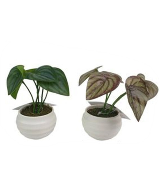 SET 12PZ MINI PIANTA ARTIFICIALE CON VASO IN PP BIANCO Ø6,5X12CM 241237
