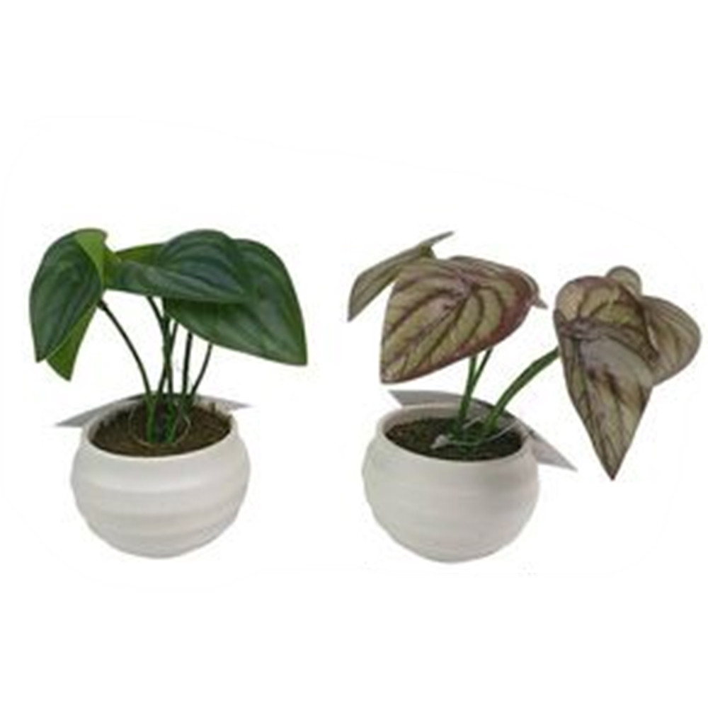 SET 12PZ MINI PIANTA ARTIFICIALE CON VASO IN PP BIANCO Ø6,5X12CM 241237