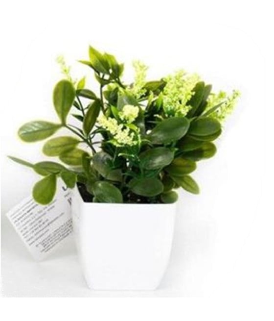 12PZ MINI PIANTA FIORI ARTIFICIALE CON VASO PP BIANCO Ø6.5X16CM 231038