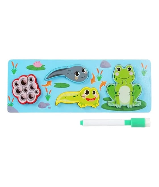 LAVAGNA PUZZLE LEGNO CICLO CRESCITA RANA GIOCO EDUCAIVO BAMBINI 74994