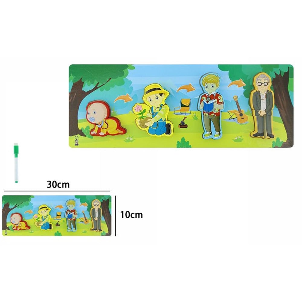 LAVAGNA PUZZLE LEGNO CICLO CRESCITA UOMO GIOCO EDUCATIVO BAMBINI 74998