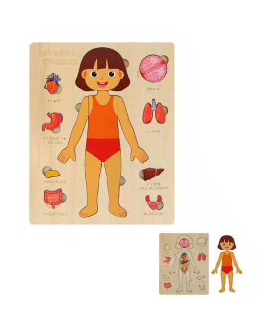 PUZZLE IN LEGNO A INCASTRO PER BAMBINI ORGANI CORPO UMANO BAMBINA 32346