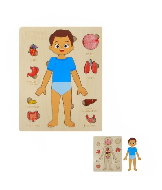 PUZZLE IN LEGNO A INCASTRO PER BAMBINI ORGANI CORPO UMANO BAMBINO 32347