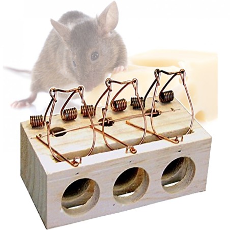 2 pezzi sicuri per la famiglia e gli animali domestici ad alta velocità  facile da usare controllo dei roditori trappole per topi umane trappola per  topi per giardino - AliExpress