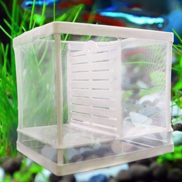 CASSETTA PER ACQUARIO ALLEVAMENTO SEPARA PESCI PROTEGGI UOVA INCUBATRICE PICCOLA