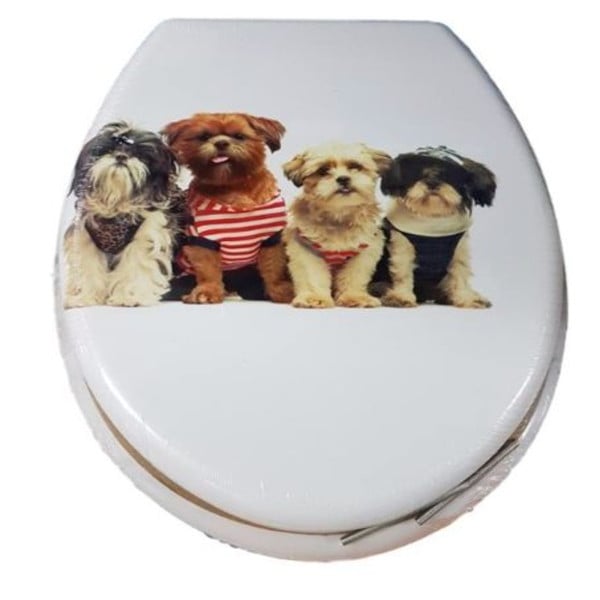 COPRIWATER COPRI WATER SEDILE WC BAGNO UNIVERSALE CERNIERE ACCIAIO CAGNOLINI