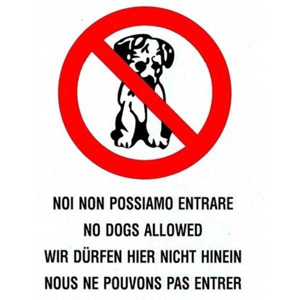 CARTELLO ADESIVO METALLO VIETATO INGRESSO AI CANI INDICAZIONI SEGNALETICA TARGA