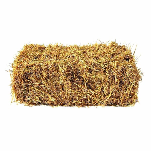 PAGLIA COLORE LEGNO 1KG PER DECORAZIONI ADDOBBI PRESEPE CESTI REGALO