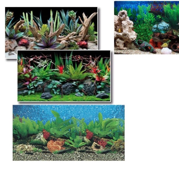 SFONDO PER ACQUARIO 50X115 CM PELLICOLE IMMAGINI ESTERNE RETRO POSTER