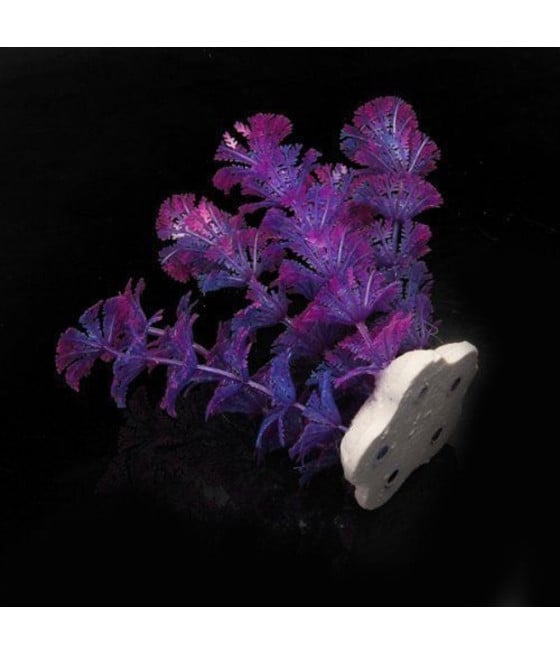 PIANTA 11CM PIANTINA ARTIFICIALE ACQUARIO PIANTE FINTE PLASTICA VIOLA