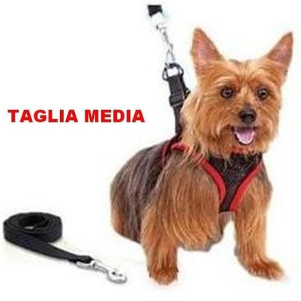 ELEGANTE PETTORINA E GUINZAGLIO REGOLABILE PER CANE COMFY CONTROL TAGLIA MEDIA
