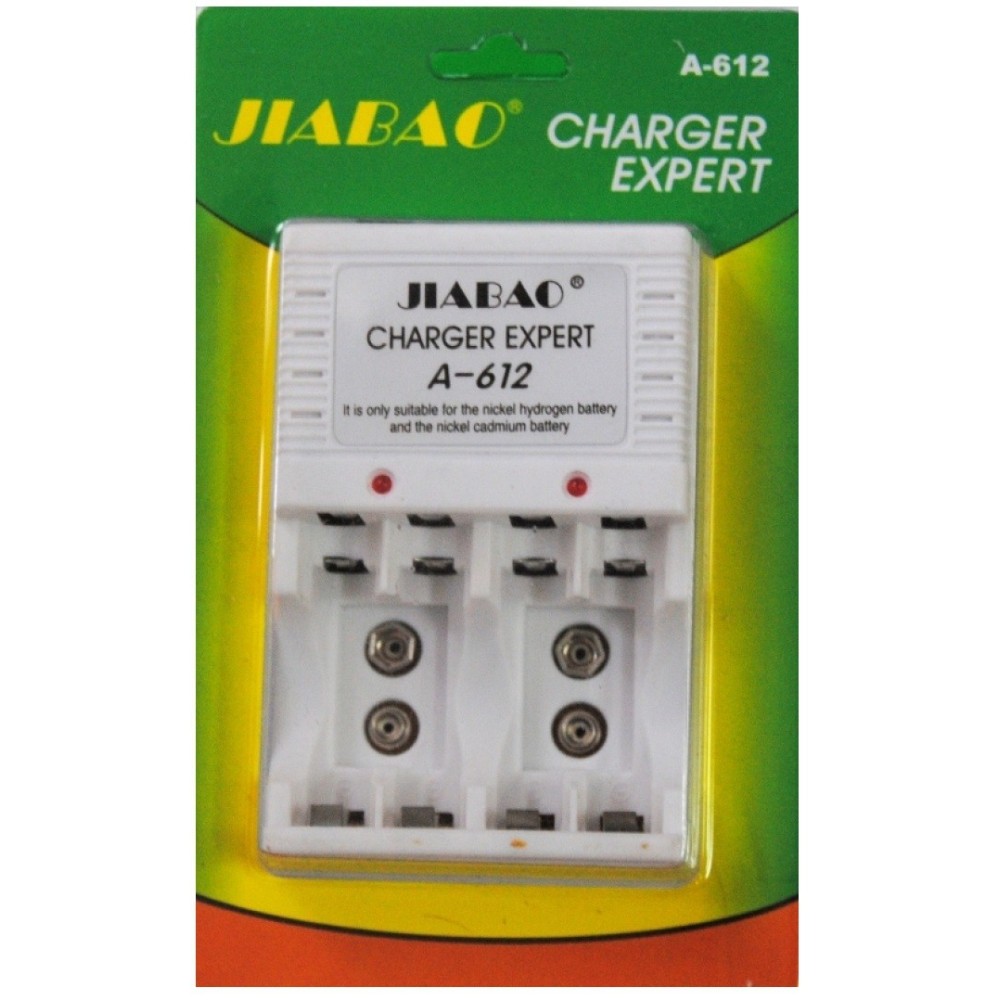 Caricabatterie Compatto a Spina Pocket Charger per 2 o 4 pile AA/AAA -  Caricabatterie - Batterie e Caricatori - Accessori